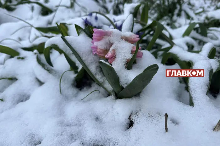 Заснеженная Украина в апреле