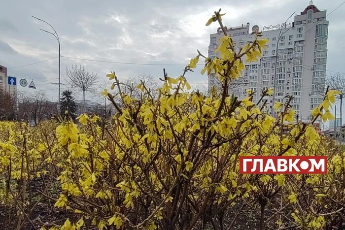 Zmienna pochmurnność, ogrzeje do +19°: prognoza pogody na 4 kwietnia