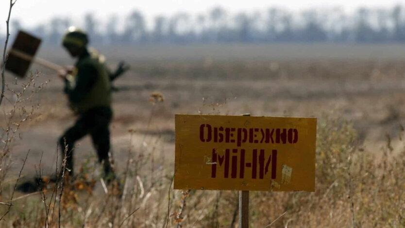 Для разминирования земель в Украине нужно почти 1 трлн грн - нардеп